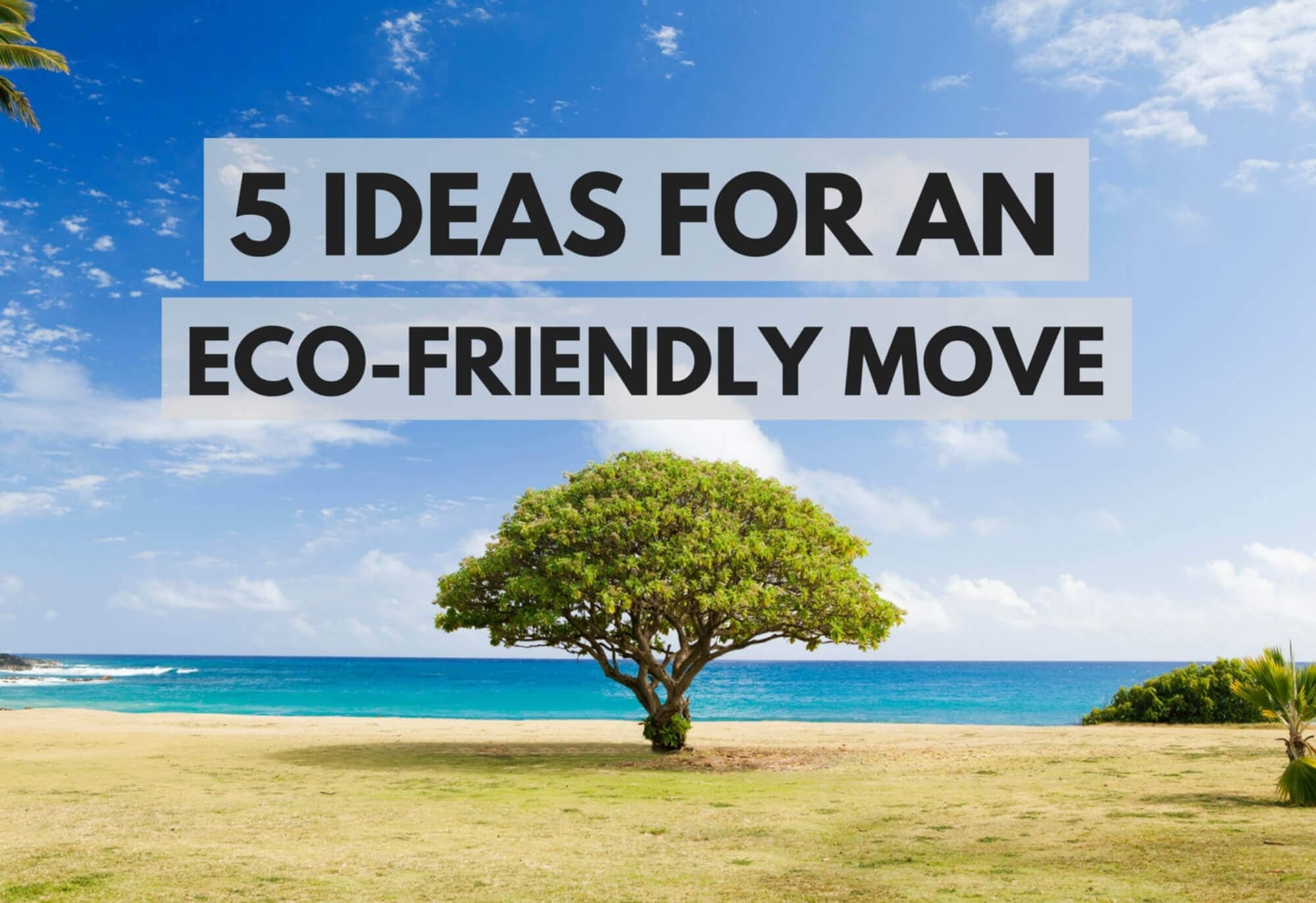 5 Ideas for an Eco-Friendly Moving Experiences